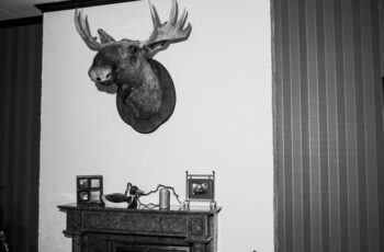 SENI TARI, KHAS DAERAH DAN GAYA MODERN